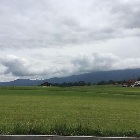 Studio Mit Alpenblick Grossweil Eksteriør bilde